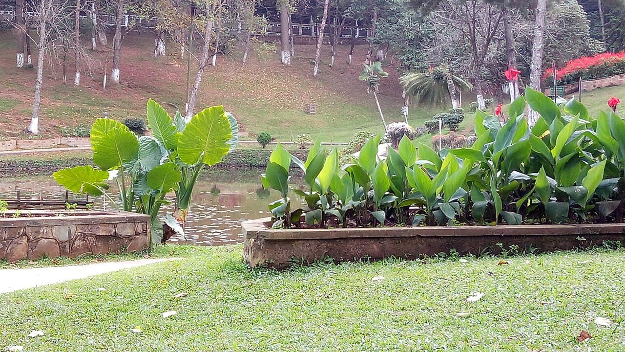 Dhankheti