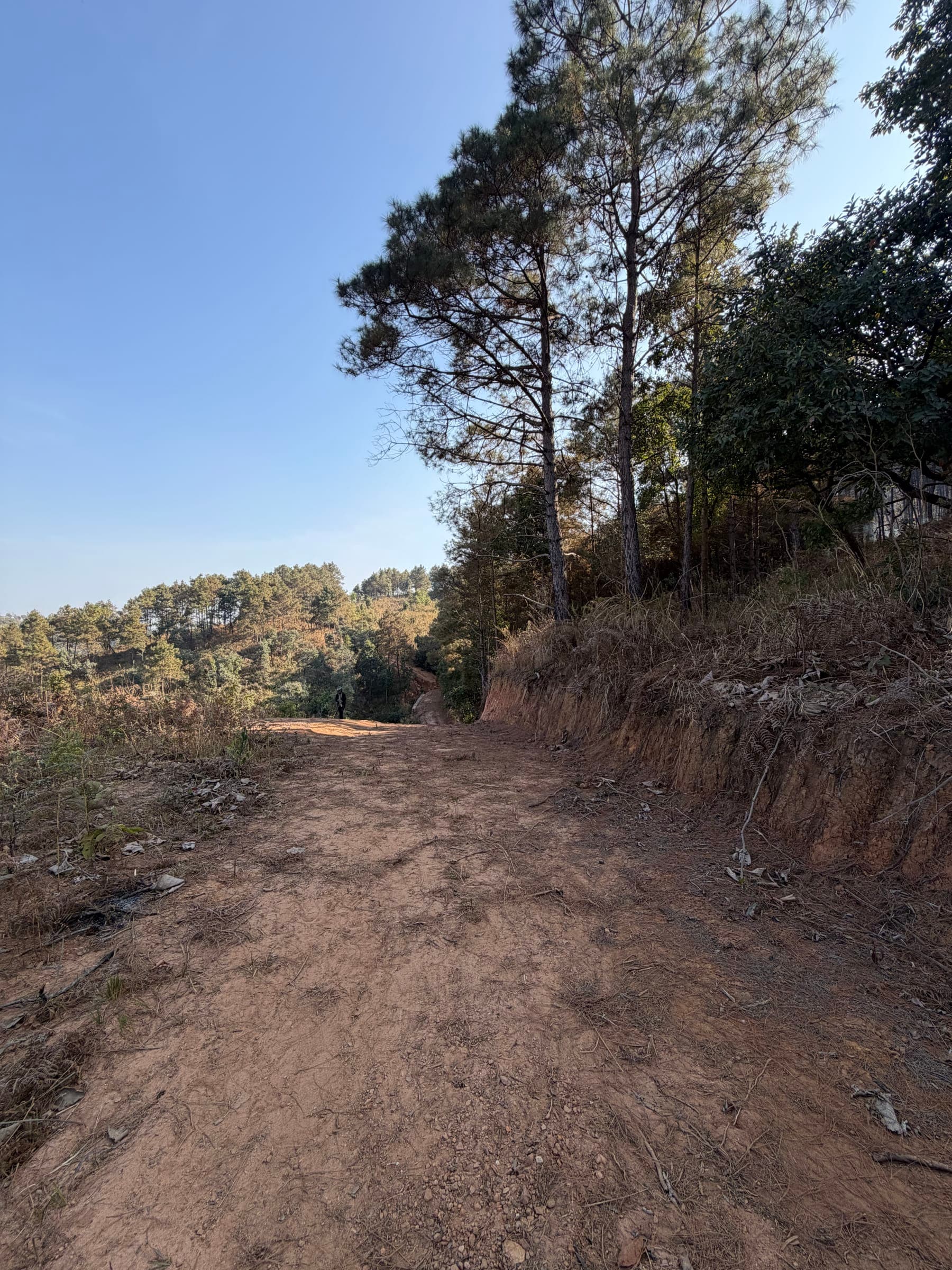 Land For Sale at Mawpat Lyngkein
